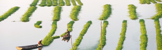 Cambodia is optimizing farming yields with big data insights