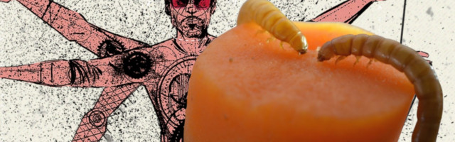 Robert Downey Jr backs bug-based food company Ÿnsect