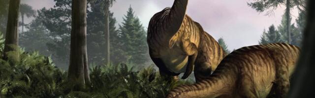 Deep Inside Fossilized Dino Vomit and Poop, Scientists Unearth a Jurassic World
