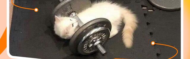 k6: как мы тестируем сервисы под нагрузкой