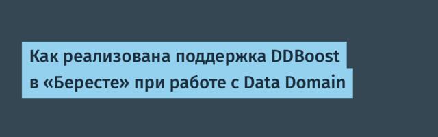 Как реализована поддержка DDBoost в «Бересте» при работе с Data Domain