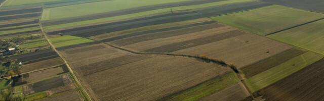 1.5 million Irish Homes and Businesses Gain Access to Full Fibre