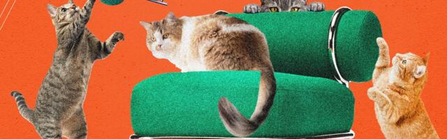 Ikea's New Blow-Up Chair Was Tested by Cats