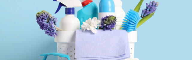 13 Amazon Gadgets That Can Make Spring Cleaning Easier