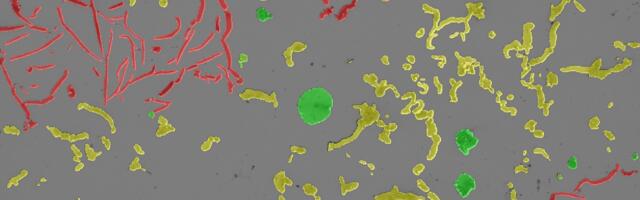 Автоматизированный анализ графита по ISO 945: архитектура и инженерная реализация модуля