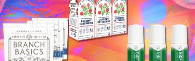 The best boring (but essential) deals to shop in Amazons Big Spring Sale