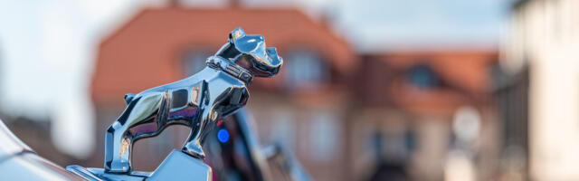 Why Some Mack Trucks Have A Gold Bulldog (But Others Have Silver)