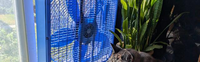 Here's How I Cooled My Bedroom Fast Without Turning On the AC