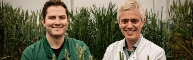 Having studied the “genetic secrets” of plants, British spinout Wild Bio has raised €51 million to improve crop variety