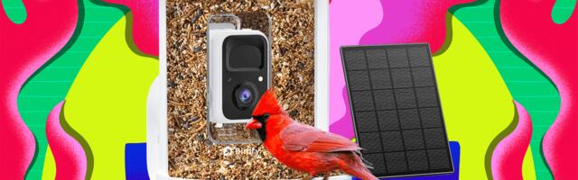 Amazon Is Having a Huge Black Friday Sale on Birdfy Smart Bird Feeders (2025)