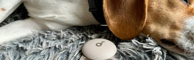 My favorite snore-blocking sleepbuds are down to their lowest price