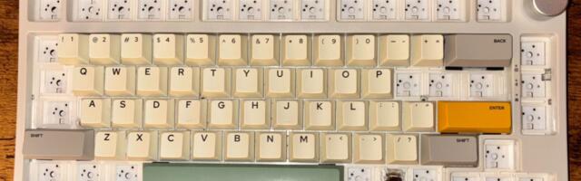 Basement AI lab captures 10,000 hours of brain scans to train thought-to-text AI models — largest known neural dataset collected from thousands of humans over six months