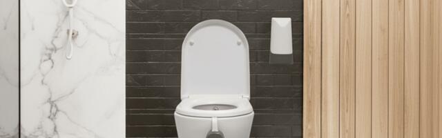 The weirdest tech we've seen at CES 2026 so far