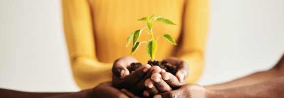 Revenue-based financing: The next step for private equity and early-stage investment