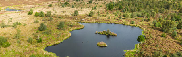 108,000 native trees planted Northwoods Rewilding Network
