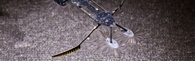 Tiny Aquatic Robot Inspired By Water Strider Is The World’s Smallest Of Its Kind