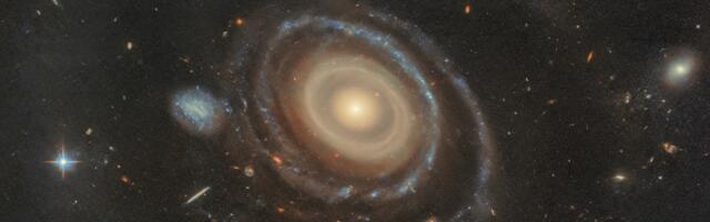 Hubble spots a cosmic bullseye: a galaxy with nine rings