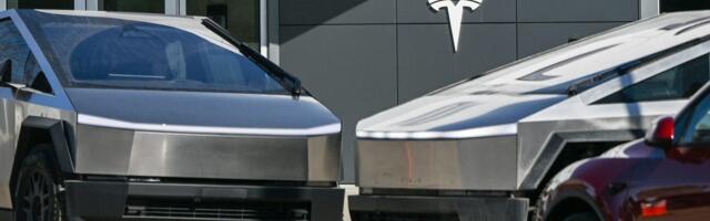 It's not easy for Tesla owners right now — and 3 in Florida told us how they're dealing with vandalism and shame