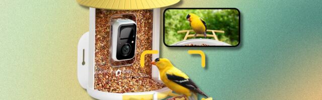This smart bird feeder is a great Bird Buddy alternative — and its $66 off at Amazon