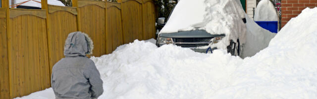 No Shovel, No Problem: Here's How To Clear Out Snow In A Pinch