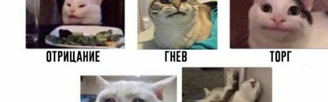 Стадии принятия ИИ в разработке: почему команда саботирует его внедрение и что с этим делать