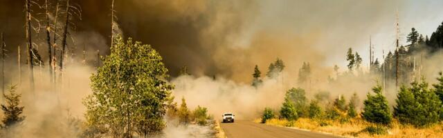 NorthX invests $2.2 million in trio of BC wildfire tech startups