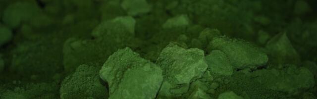 The Electric: Western Auto and Battery Makers’ Big Gamble on Indonesian Nickel