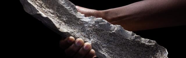 Prehistoric bone tool cache suggests advanced reasoning in early hominins