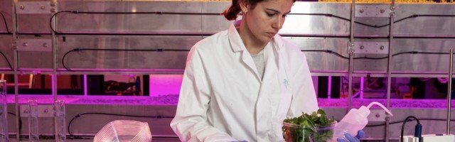 Vertical farming startups, compared