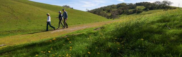 Scenic ranch south of San Jose owned by Bechtel family sells for $24 million in latest major conservation deal