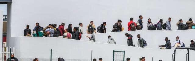 Migrants play ‘the asylum lottery’ on controversial US government app