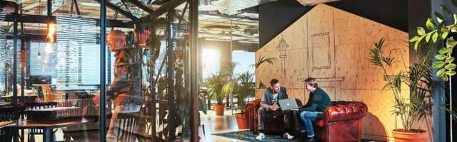 Meet the top medium/small companies to work for in the Netherlands in 2024; all are hiring right now