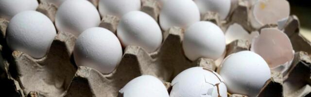 Egg prices increase to record high despite Trump’s predictions