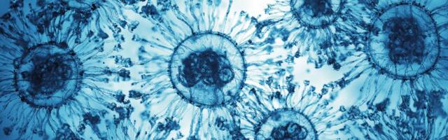 [Перевод] Между жизнью и смертью существует «третье состояние» — и, возможно, поэтому наши клетки обладают сознанием