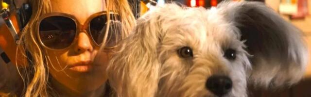 It's a race against time to save Krypto in Supergirl trailer