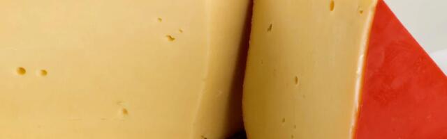 Not Gouda-nough: Google removes AI-generated cheese error from Super Bowl ad