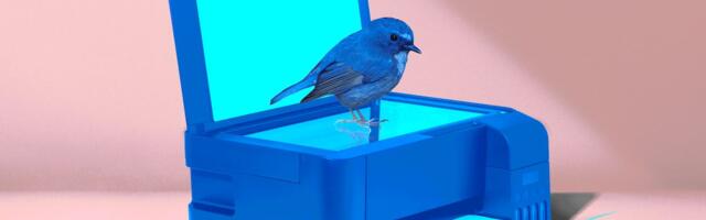 Copy and Kill: The Ex-Tweeps With a Plan to Knock Off Twitter