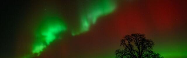 The Northern Lights will be visible in the U.S. tonight. Heres how to view it.