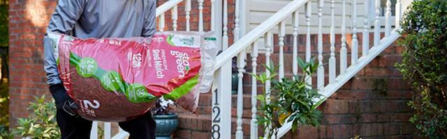 5 Of The Best Deals Happening At Lowe's This Spring