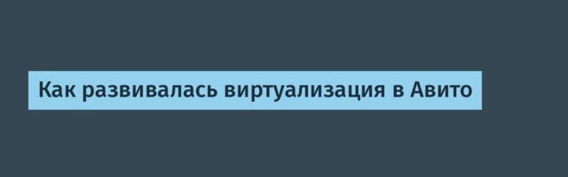 Как развивалась виртуализация в Авито