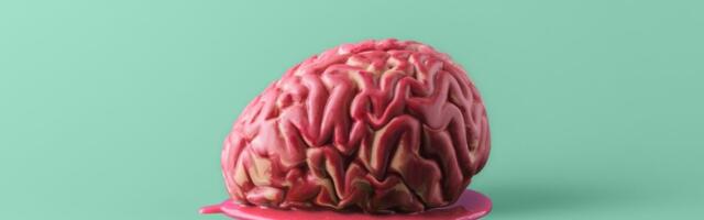Spending Just 10 Minutes With AI Can Fry Your Brain, Researchers Find