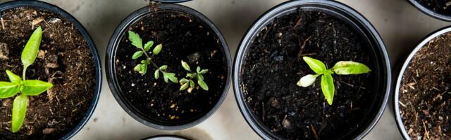 Seed Funding: What You Need to Know