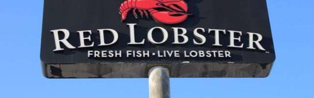 Red Lobster's wunderkind CEO might have the secret sauce for turnarounds. Private equity should be taking notes.