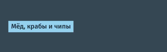 Мёд, крабы и чипы