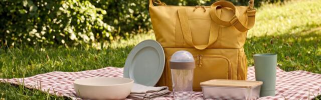 IKEA's understated picnic set is the classiest I've seen, as well as being practical and cheap — I'm not surprised it's selling fast