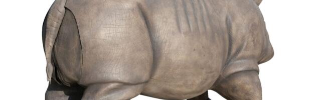 ‘Butt Birth’-ing Rhinoceros from Ace Ventura Sequel Sold at Auction for a Whopping $60,000