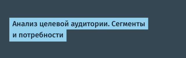 Анализ целевой аудитории. Сегменты и потребности