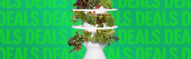 This Eye-Catching Indoor Garden Is 20 Percent Off Right Now