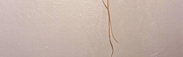 This Italian Chef Wants You to Stop Whipping Cooked Pasta Against the Wall. Here's Why