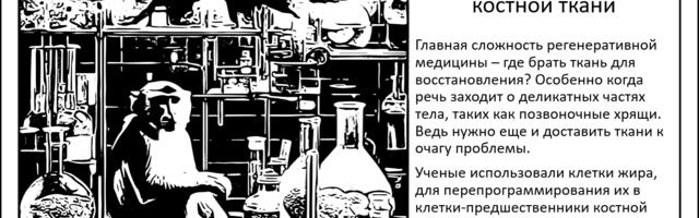 [Перевод] Трансформация жировых клеток в костную ткань. При переломах и от дряхлости